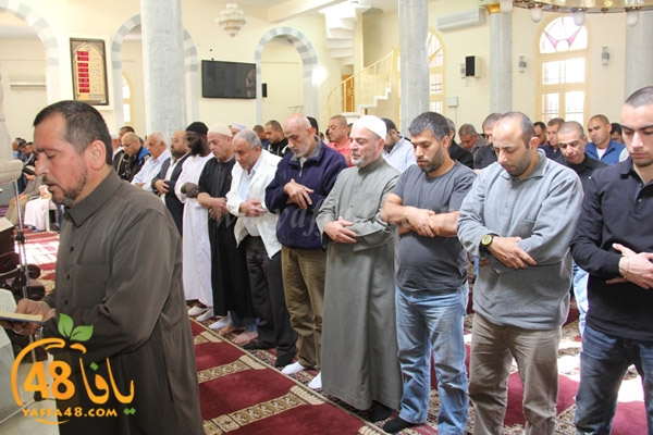 Kosoof salah (1).JPG